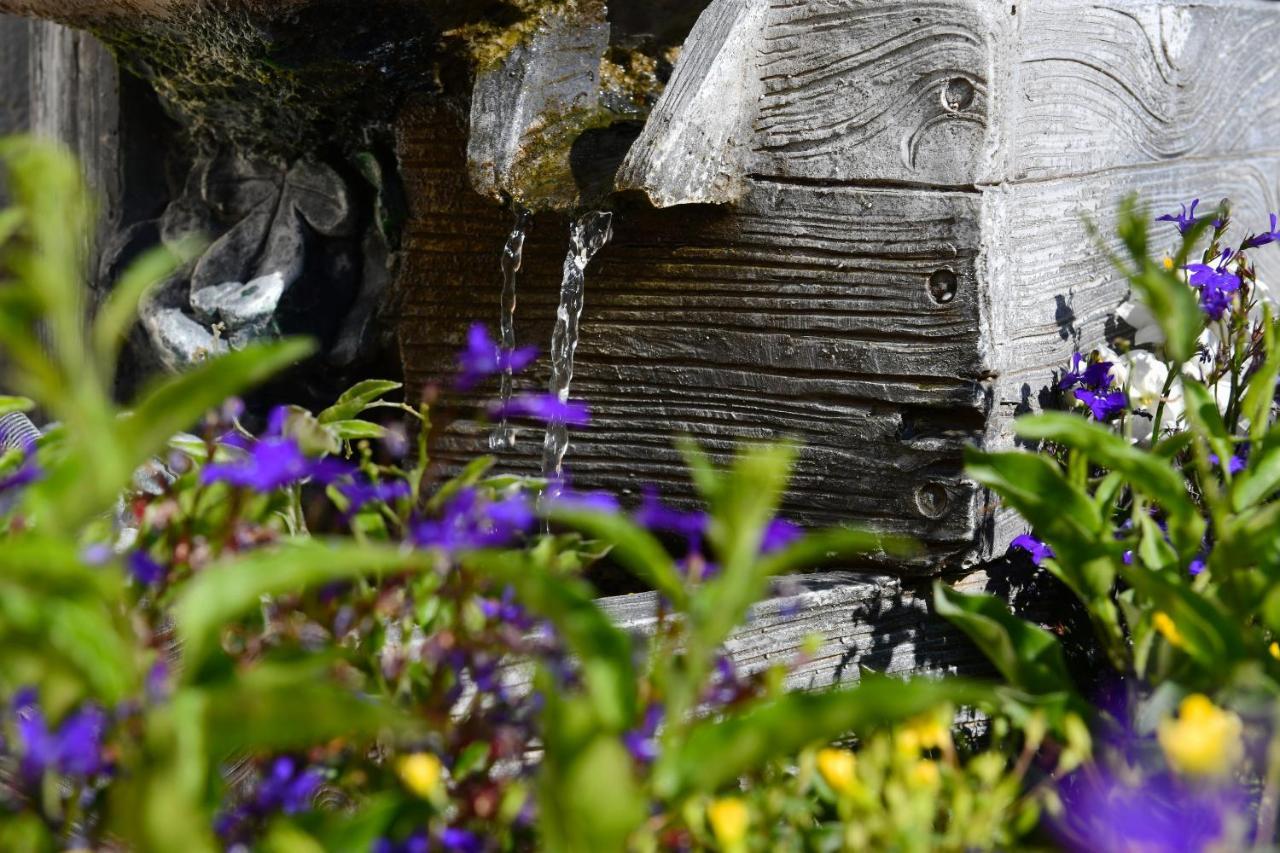 Landhotel Jungbrunnen Bad Brambach Exteriér fotografie